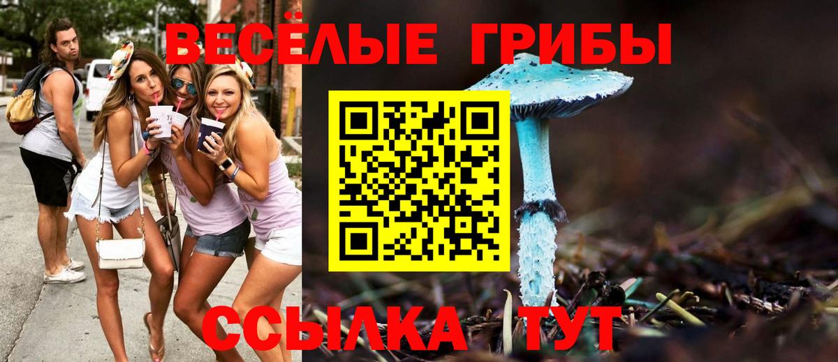 Псилоцибиновые грибы Psilocybine cubensis Малоярославец