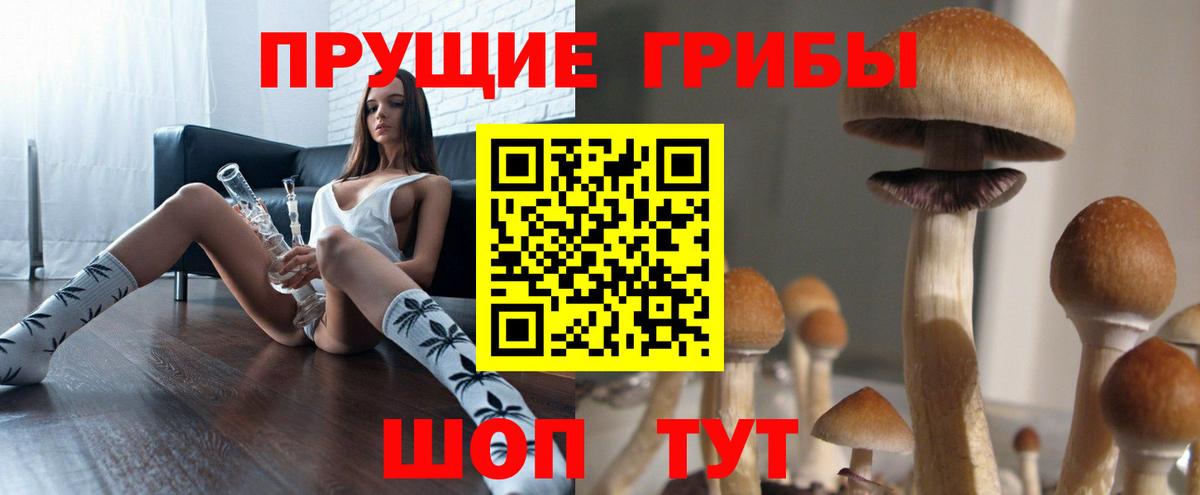 Малоярославец  Псилоцибиновые грибы мицелий  Вход с VPN  Галлюциногенные грибы прущие грибы 